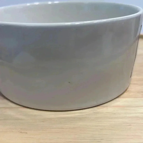 Rae Dunn DRINK UP Dog Bowl - Picture 4 of 4